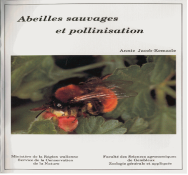 thumbnail - Abeilles sauvages et pollinisation