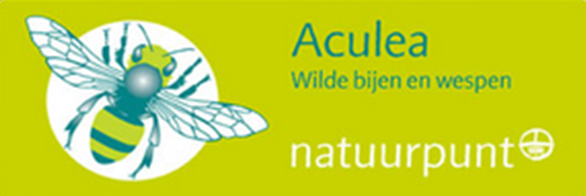 thumbnail - Bijenwandelingen van Aculea